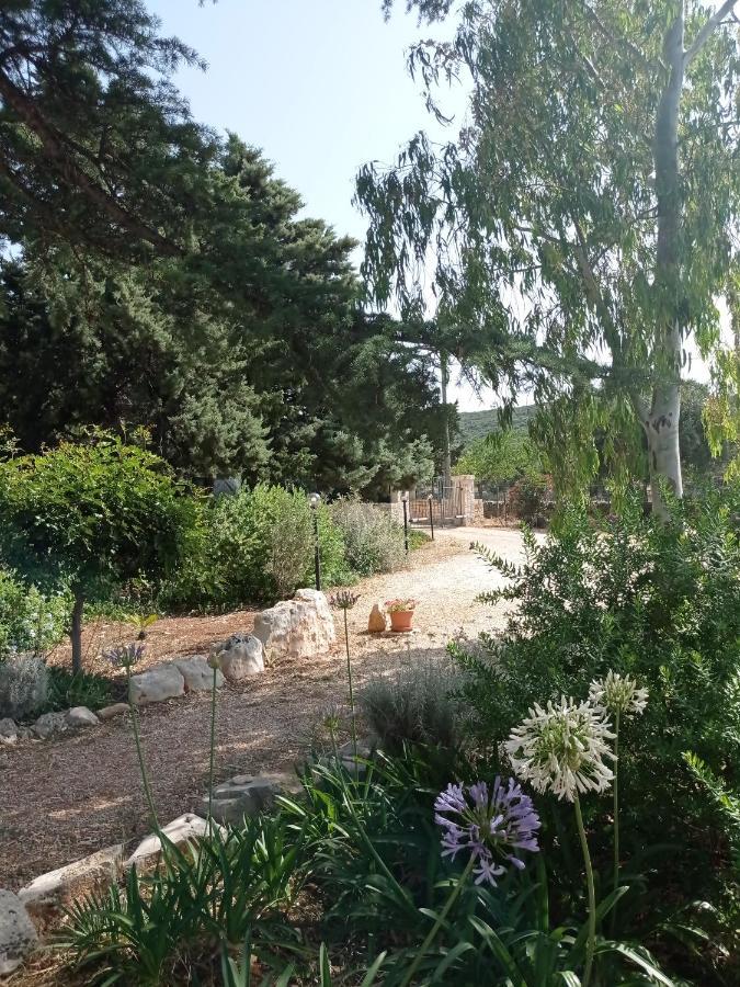 Dimora Dalia - Puglia Mia Apartments โมโนโปลี ภายนอก รูปภาพ